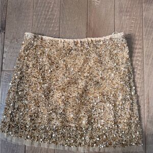 Zara Sparkling Gold beaded Mini Skirt